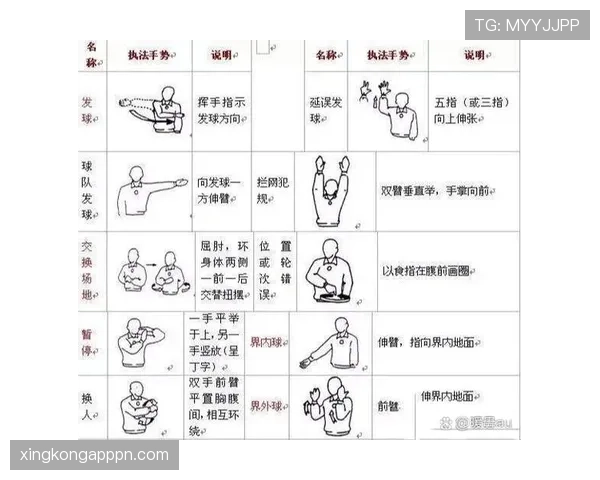 快速开球规则拆解：允许吗？哪些细节裁判最常忽视