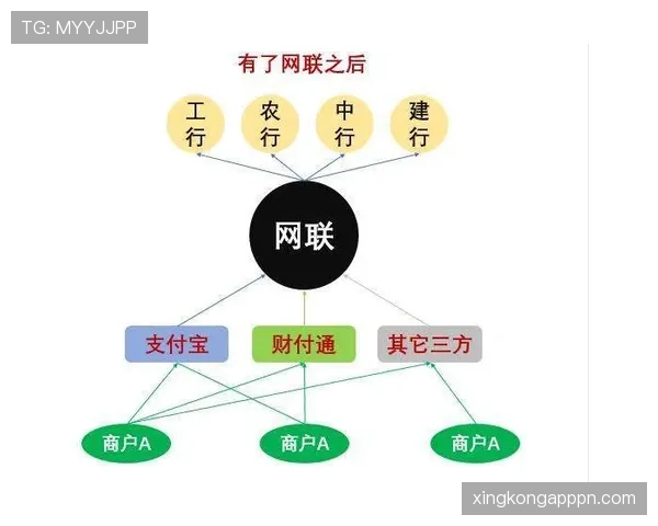 换人规则中接触开始与结束地点如何判定？全面拆解标准细节