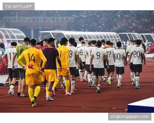2026世界杯比赛因安全原因暂停如何处理 2026世界杯比赛因安全原因暂停如何处理
